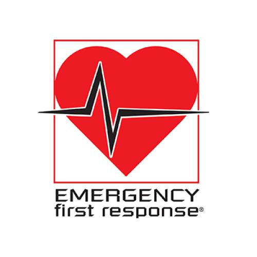 eLearning - EFR Primary and Secondary Care