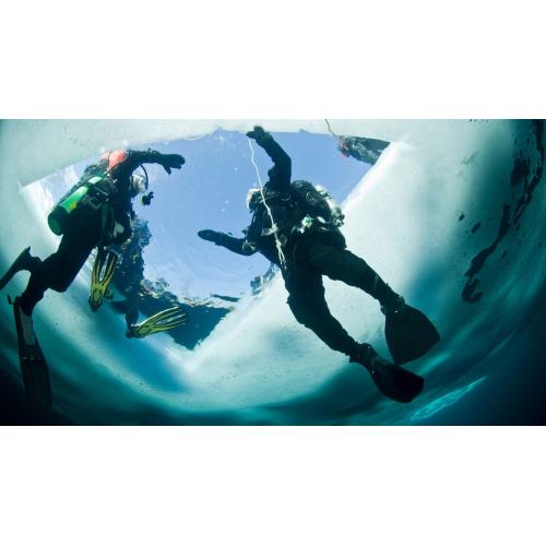 Ice Diver