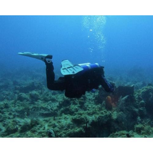 Fundamentals and Principles of Diving