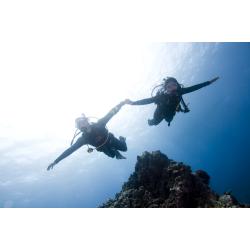 eLearning - Drift Diver