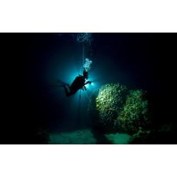 eLearning - Night Diver - Club Subscriber