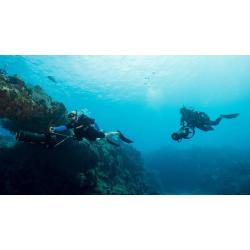 Diver Propulsion Vehicle - Club Subscriber