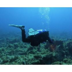 Fundamentals and Principles of Diving