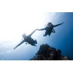 eLearning - Drift Diver