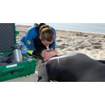 Emergency Oxygen Provider E Learning