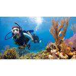 Open Water Diver - Private- Complete