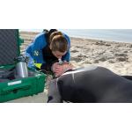 Emergency Oxygen Provider