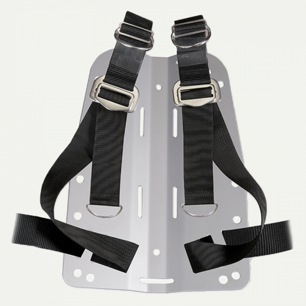 Backplate/Harness