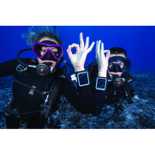 Shearwater Peregrine Computer