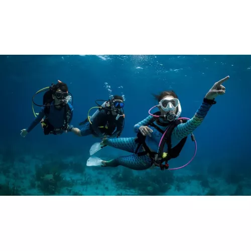 PADI Advanced Open Water Diver eLearning