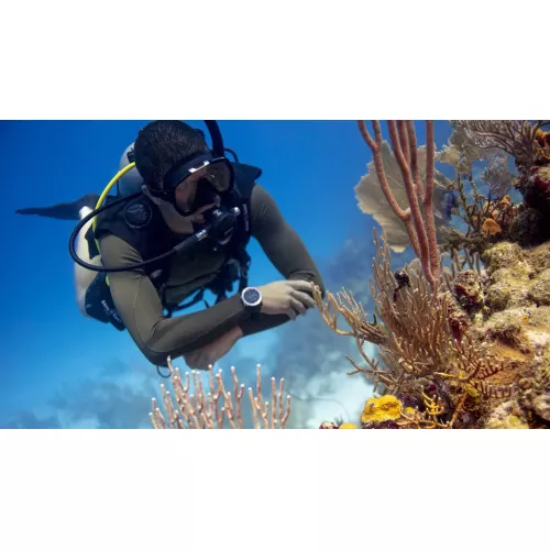 Peak Performance Buoyancy Diver eLearning 