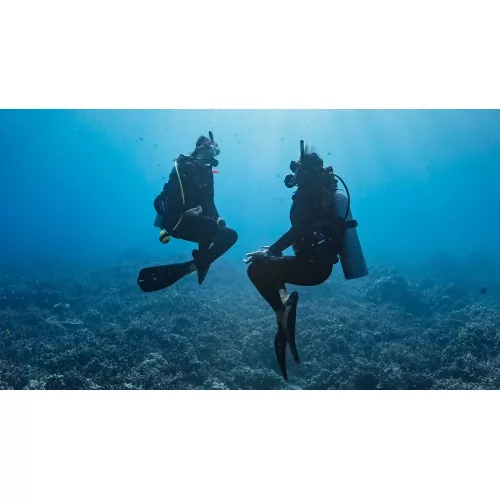 Peak Performance Buoyancy Diver eLearning 