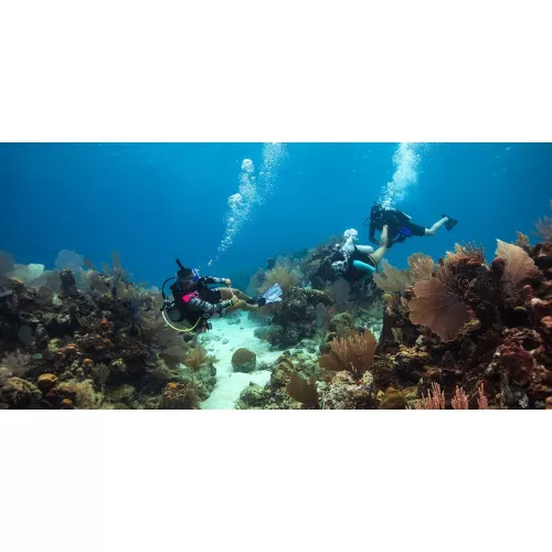 Divemaster Digital Crew-Pak w/ Slates, Pro Bag