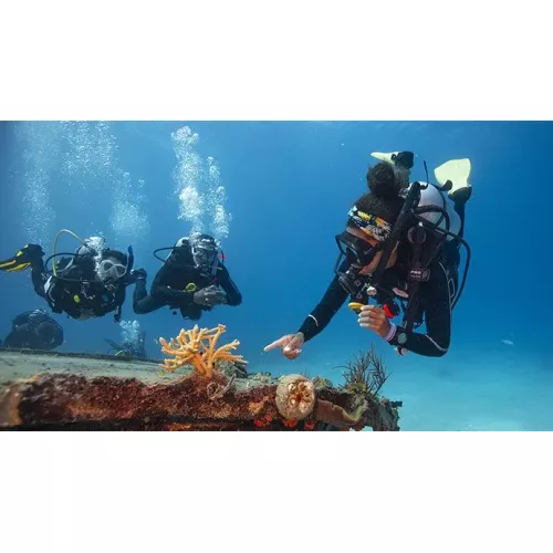 Divemaster Digital Crew-Pak w/ Slates, Pro Bag