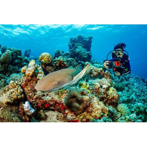 SeaLife SportDiver S – Streamlined Smartphone Underwater Housing for Everyday Diving