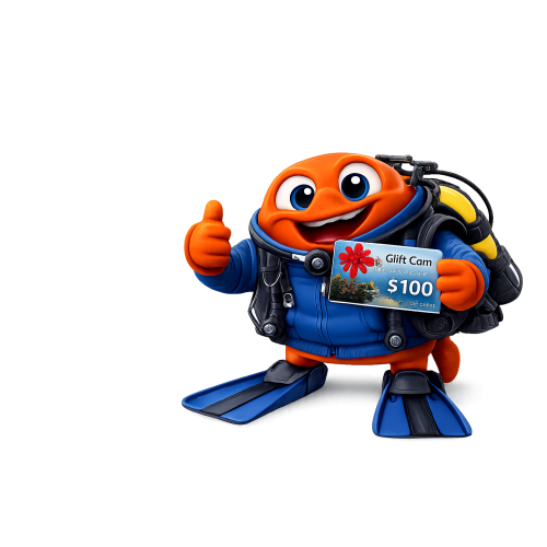 Gift Card Email Delivery