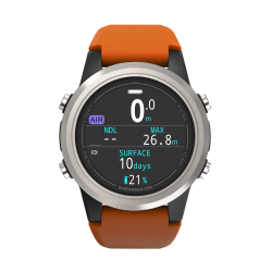 Shearwater Tern Computer