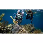 PADI Advanced Open Water Diver eLearning