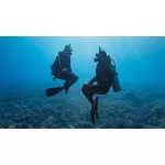 Peak Performance Buoyancy Diver eLearning 