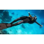Divemaster Digital Crew-Pak w/ Slates, Pro Bag