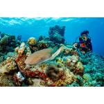 SeaLife SportDiver S – Streamlined Smartphone Underwater Housing for Everyday Diving