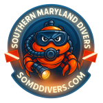 Gift Cards Email Delivery