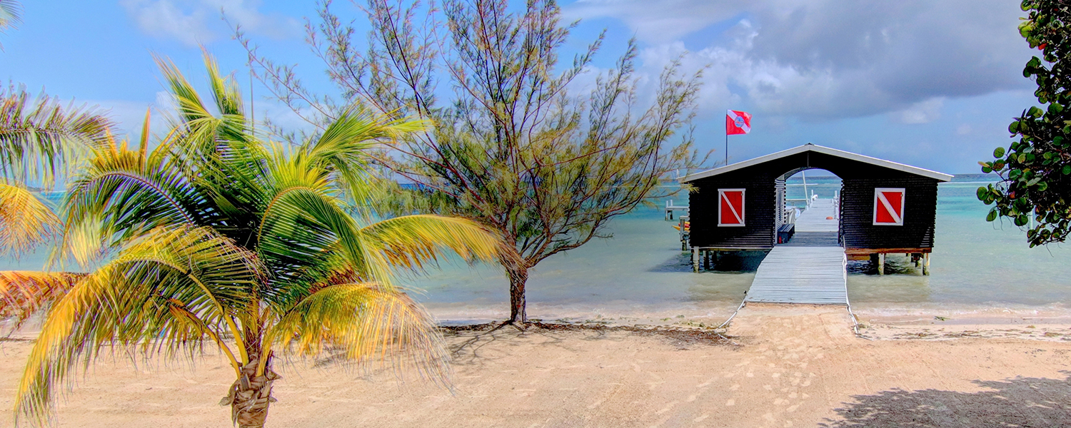 Belize: Blackbird Caye Resort Week Long Dive Adventure