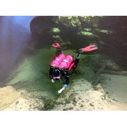 Divemaster Course - Classrom/Pool/OW Inst Fees Divemaster Course - Classrom/Pool/OW Inst Fees