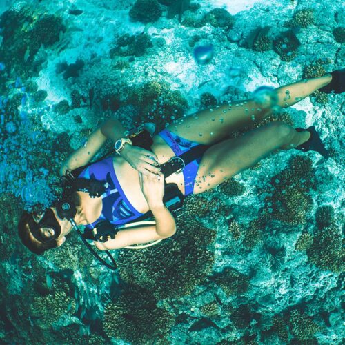 TIGER REVERSIBLE BIKINI BOTTOM BLUE PATTERN XXL