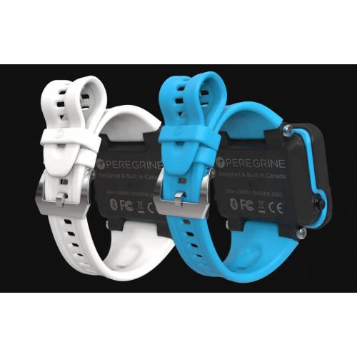 Shearwater Peregrine