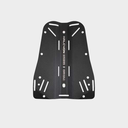 Halcyon Carbon Fiber Backplate with Cinch, Standard, Bare