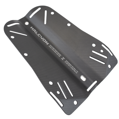 Halcyon Carbon Fiber Backplate with Cinch, Standard, Bare