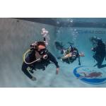 Full Open Water Course