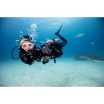 Try Scuba Diving