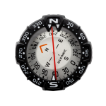 Oceanic Maxview Compass Module