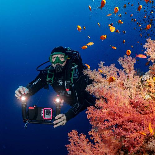 Sea Dragon 3000F Color Boost COB LED Photo-Video Light Kit Head (