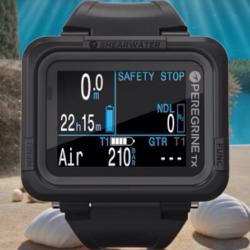 Peregrine TX (Airless Compatible) Display-Open Box