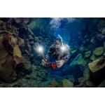 Sea Dragon 5000+ Color Boost COB LED Photo-Video Light (Includes