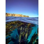 6/15cm SportDiver Wide Angle Dome Lens (For SportDiver housing on