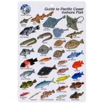 PACIFIC COAST FISH CARD