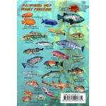 FISH CARD/MAP AVALON/CALIF, KELP
