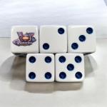 Logo Dive x 5 Dice Package