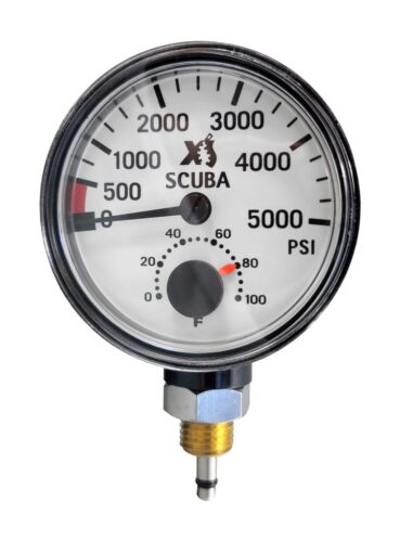 Pressure Gauge Module/BAR