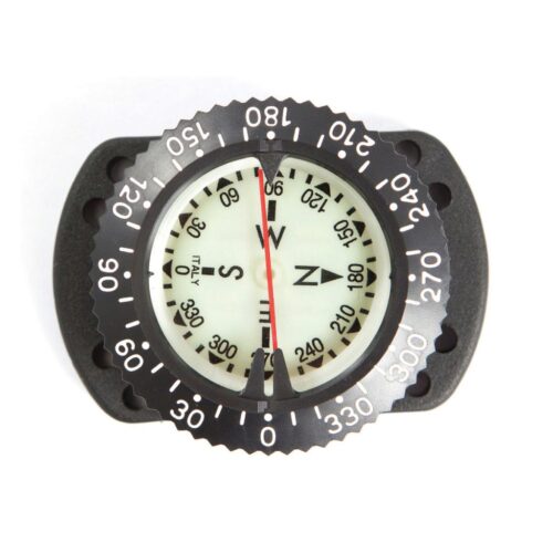 Compass w/ Bungee
