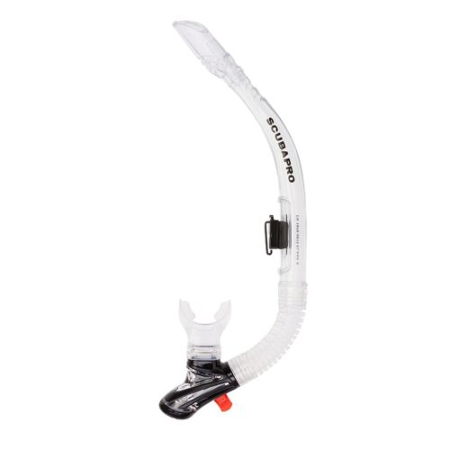Trinidad Snorkel