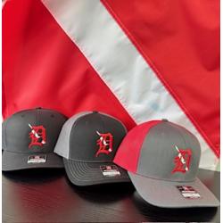 Diving in the D Trucker Hat