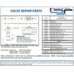 Blue Steel Valve Repair Kit