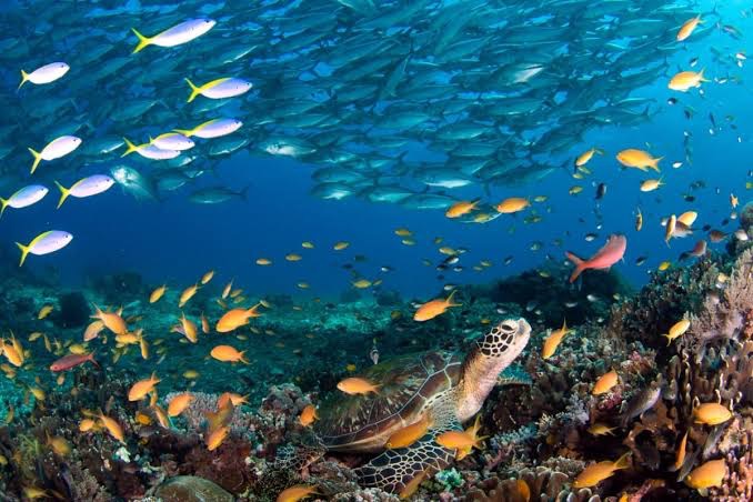 YMCA Pool Class Sundays, Starts April 18 2021 YMCA Pool Class Sundays, Starts April 18 2021