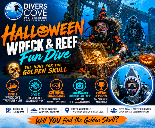 Oct 31: Halloween Wreck & Reef Adventure