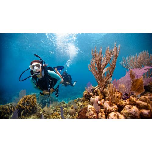 Open Water Certification Essential Package